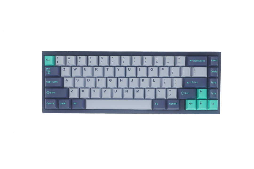 Bakeneko65